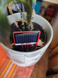 Solar Soil Sensor